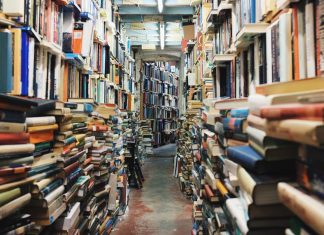 Cameron Makes a Perfect Diving Catch