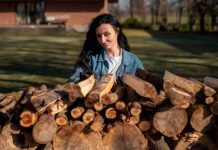 Albizia bois de chauffage : chauffe-t-il assez pour l’hiver ? Albizia bois de chauffage