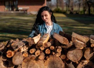 Albizia bois de chauffage