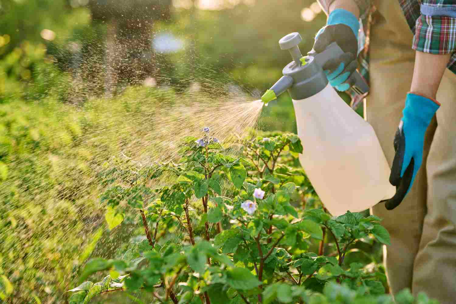 désherbant au vinaigre blanc