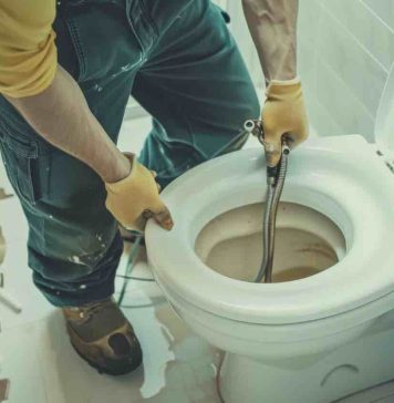 Débouchage WC à Limonest : que faire avant d’appeler un plombier ? débouchage WC Limonest